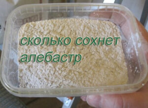 сколько сохнет алебастр